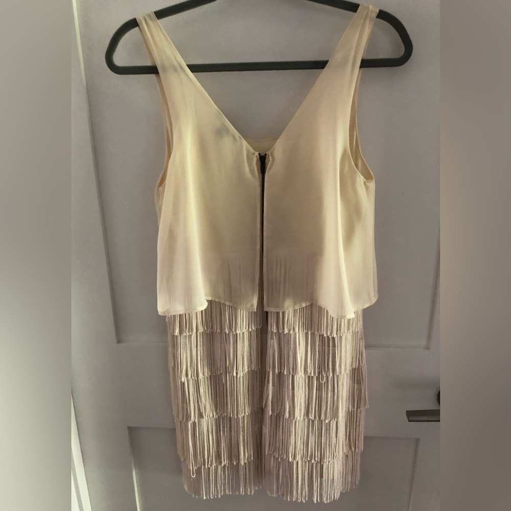 AE FRINGE DRESS - Picture 2 of 3